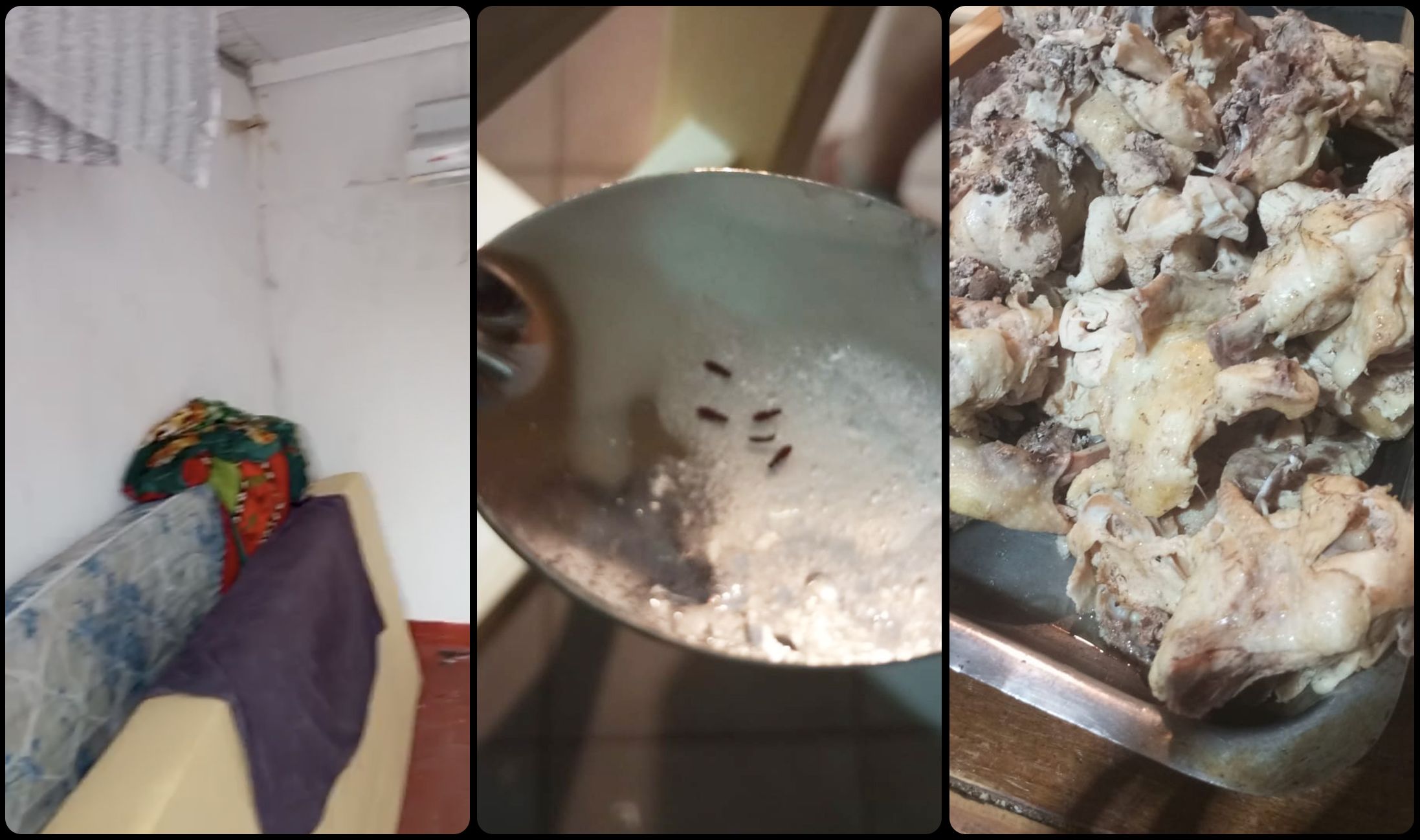 阿根廷足球青训黑幕:天赋工厂背后的残酷系统
